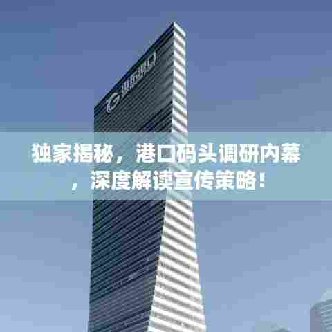 独家揭秘，港口码头调研内幕，深度解读宣传策略！