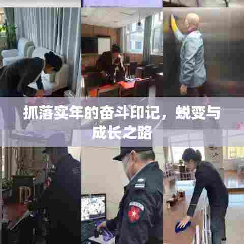 抓落实年的奋斗印记，蜕变与成长之路