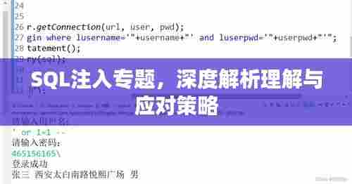 SQL注入专题，深度解析理解与应对策略
