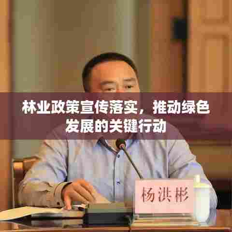 林业政策宣传落实，推动绿色发展的关键行动