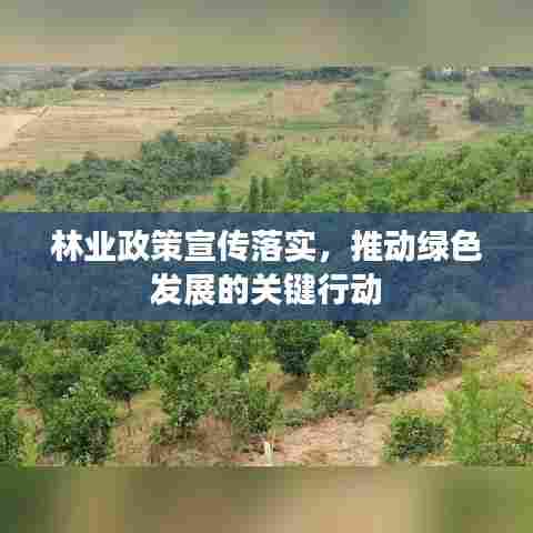 林业政策宣传落实,推动绿色发展的关键行动