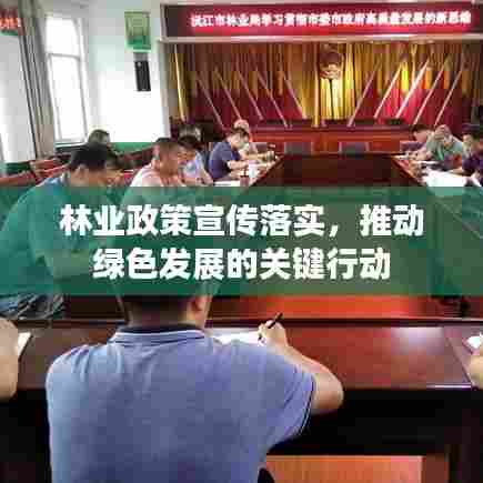 林业政策宣传落实,推动绿色发展的关键行动