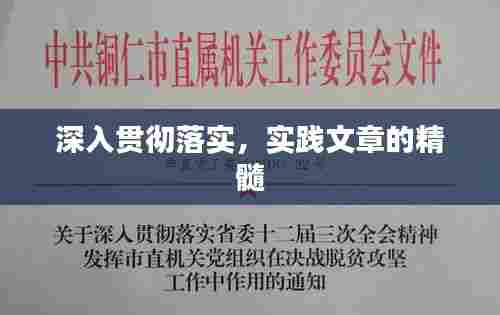 深入贯彻落实,实践文章的精髓