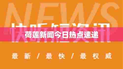 荷莲新闻今日热点速递