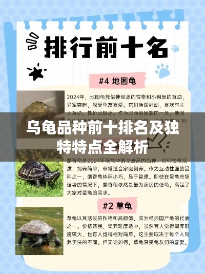 乌龟品种前十排名及独特特点全解析