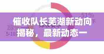催收队长芜湖新动向揭秘,最新动态一网打尽!