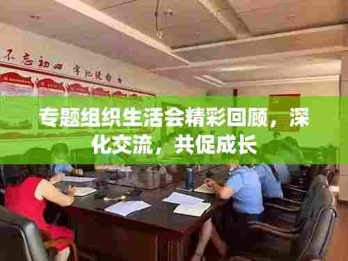 专题组织生活会精彩回顾，深化交流，共促成长