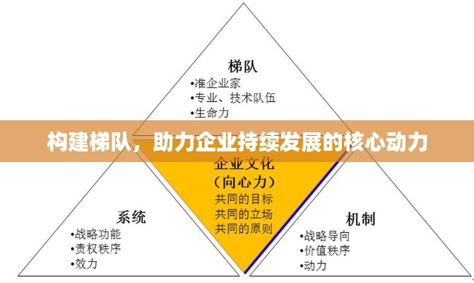 构建梯队，助力企业持续发展的核心动力