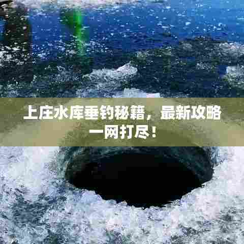 上庄水库垂钓秘籍，最新攻略一网打尽！