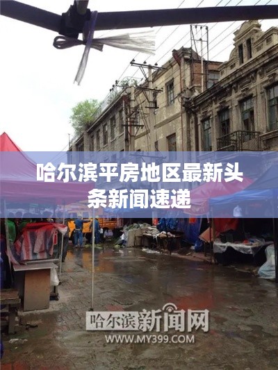 刬旧谋新 第5页