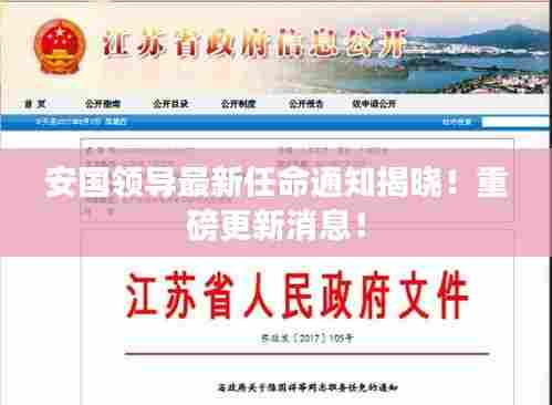 安国领导最新任命通知揭晓！重磅更新消息！