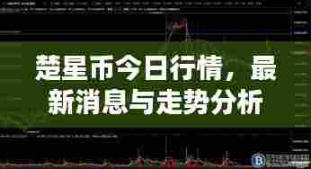 楚星币今日行情，最新消息与走势分析