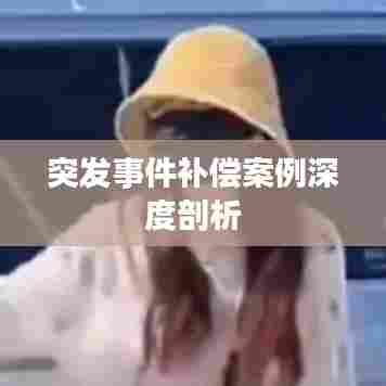 突发事件补偿案例深度剖析