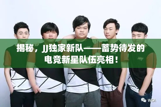 揭秘，JJ独家新队——蓄势待发的电竞新星队伍亮相！