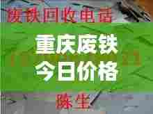 重庆废铁今日价格走势分析——最新市场动态