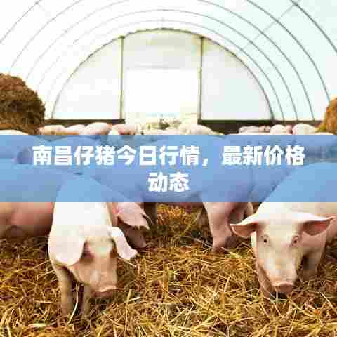 如花似玉 第6页