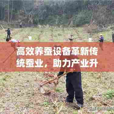 高效养蚕设备革新传统蚕业，助力产业升级发展