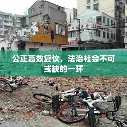 公正高效复议，法治社会不可或缺的一环