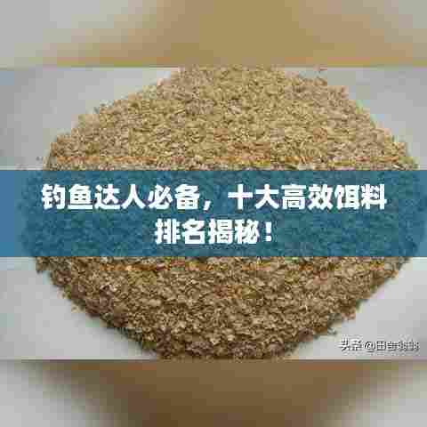 钓鱼达人必备，十大高效饵料排名揭秘！