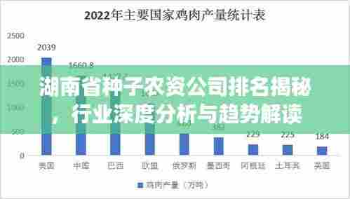 湖南省种子农资公司排名揭秘，行业深度分析与趋势解读