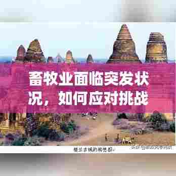 畜牧业面临突发状况，如何应对挑战，保障牛群健康？