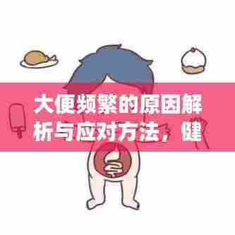 大便频繁的原因解析与应对方法，健康困扰不再来