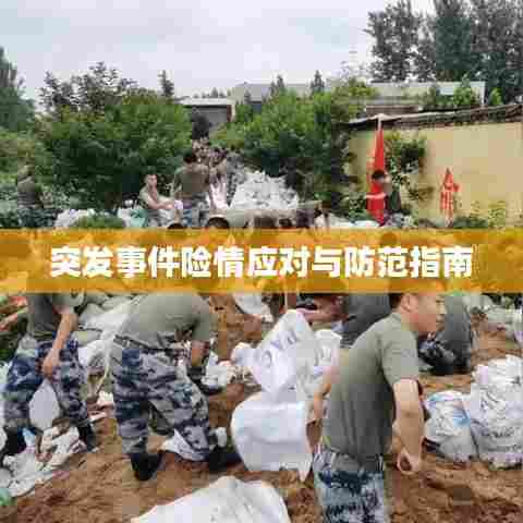 突发事件险情应对与防范指南