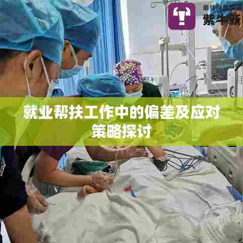 就业帮扶工作中的偏差及应对策略探讨