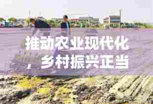 推动农业现代化,乡村振兴正当时,农业农村415宣传行动开启!