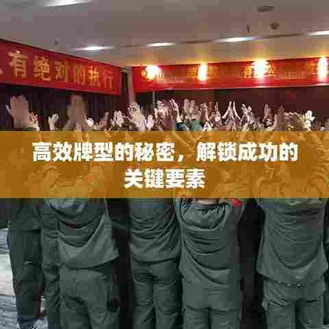 高效牌型的秘密，解锁成功的关键要素