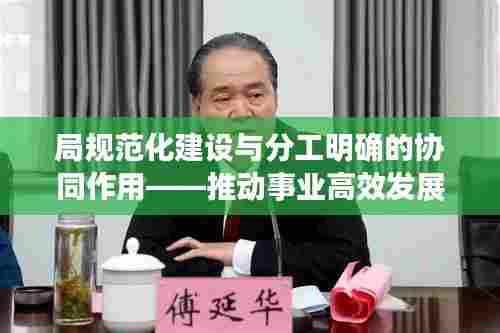 局规范化建设与分工明确的协同作用——推动事业高效发展的核心动力