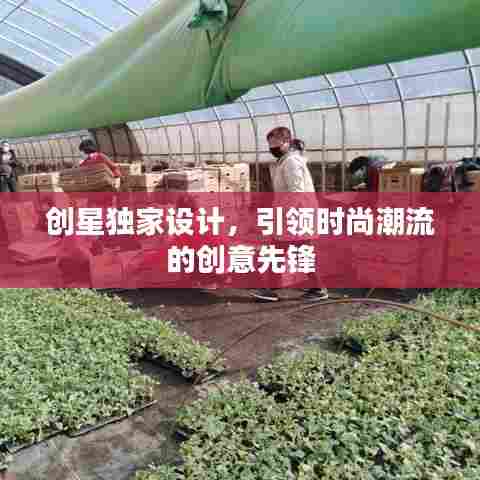 创星独家设计，引领时尚潮流的创意先锋