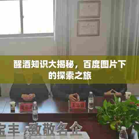 醒酒知识大揭秘，百度图片下的探索之旅
