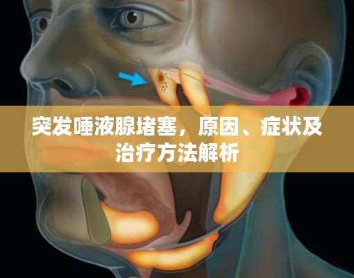 突发唾液腺堵塞，原因、症状及治疗方法解析