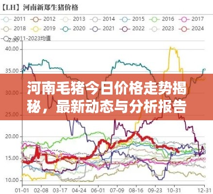 河南毛猪今日价格走势揭秘，最新动态与分析报告