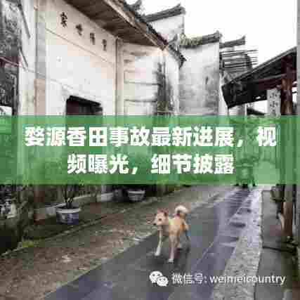 飞黄腾达 第6页