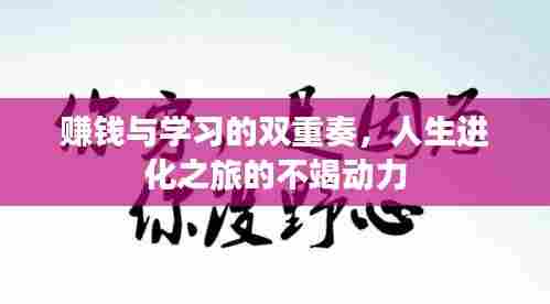 赚钱与学习的双重奏，人生进化之旅的不竭动力