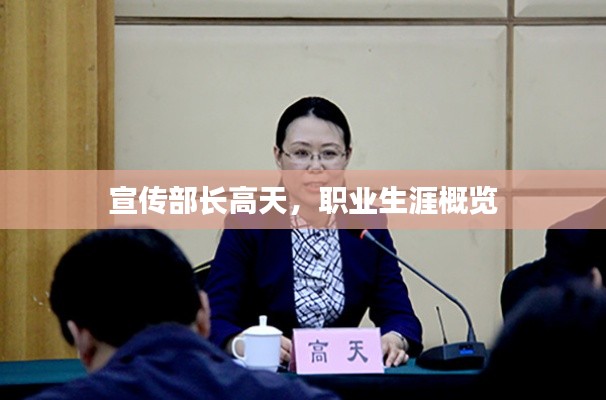 宣传部长高天，职业生涯概览