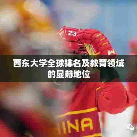 西东大学全球排名及教育领域的显赫地位