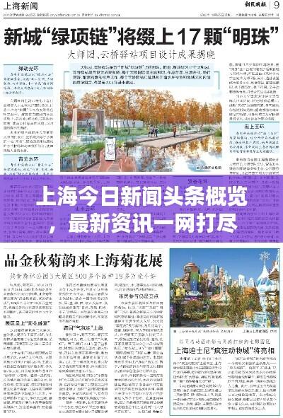 上海今日新闻头条概览，最新资讯一网打尽