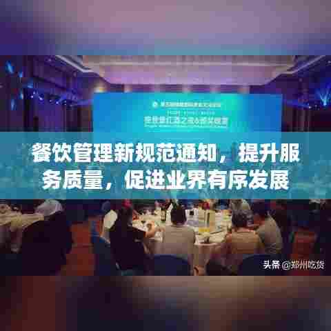 餐饮管理新规范通知，提升服务质量，促进业界有序发展