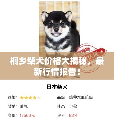 桐乡柴犬价格大揭秘，最新行情报告！