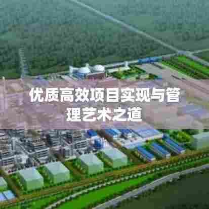 优质高效项目实现与管理艺术之道