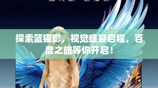 探索篮猫影，视觉盛宴启程，百度之旅等你开启！