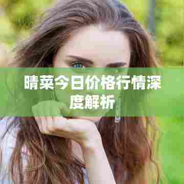 晴菜今日价格行情深度解析