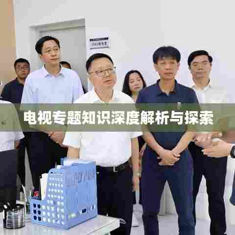 电视专题知识深度解析与探索