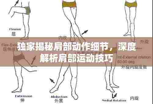 独家揭秘肩部动作细节，深度解析肩部运动技巧