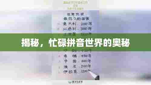 揭秘，忙碌拼音世界的奥秘