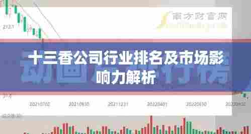 十三香公司行业排名及市场影响力解析