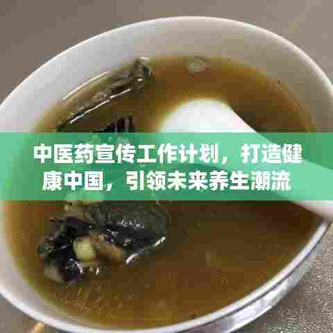 中医药宣传工作计划，打造健康中国，引领未来养生潮流